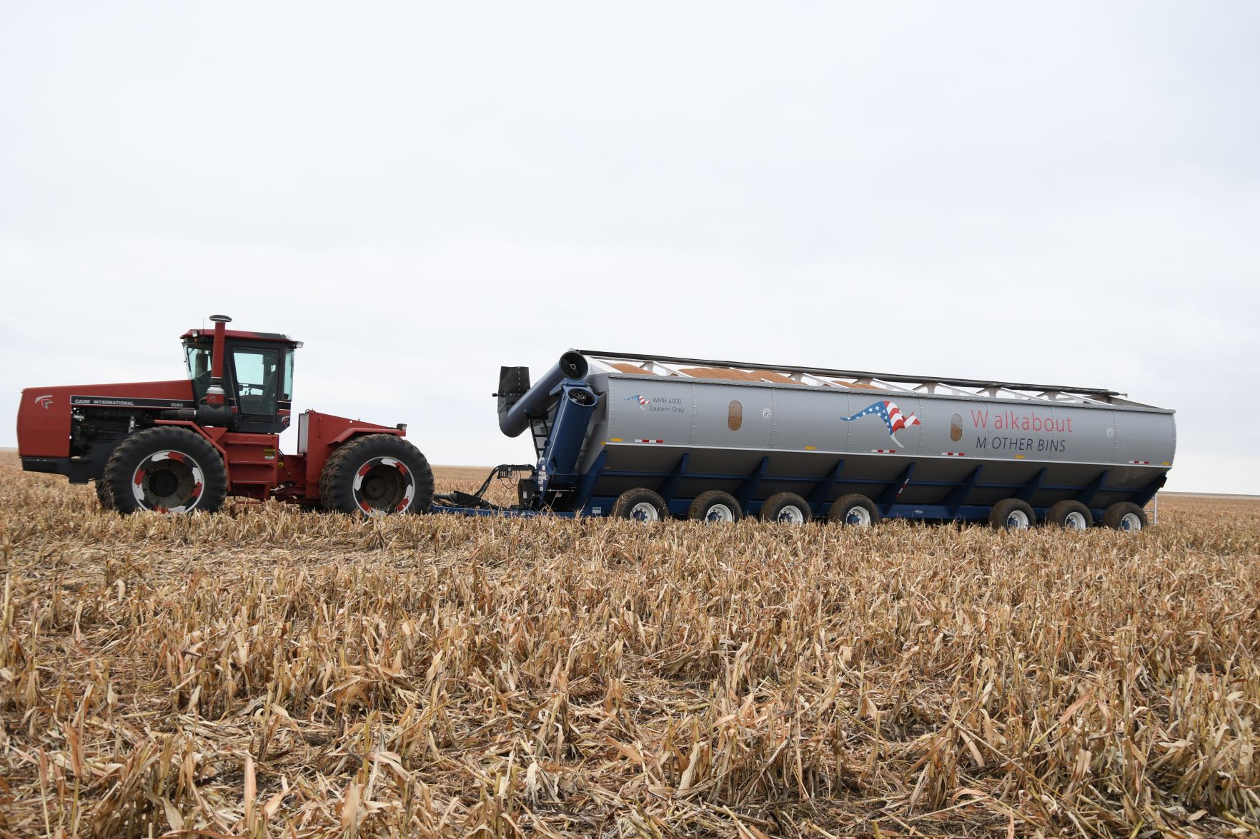 Mother bin in field